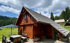 Cosy Chalet On Pokljuka - Brunarica Tinkara