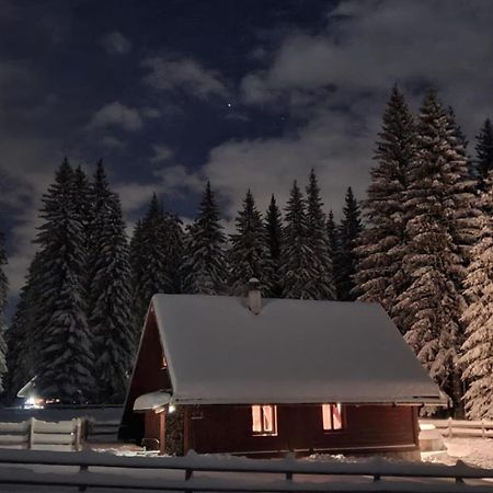 Zgornje Gorje Cosy Chalet On Pokljuka - Brunarica Tinkara מראה חיצוני תמונה