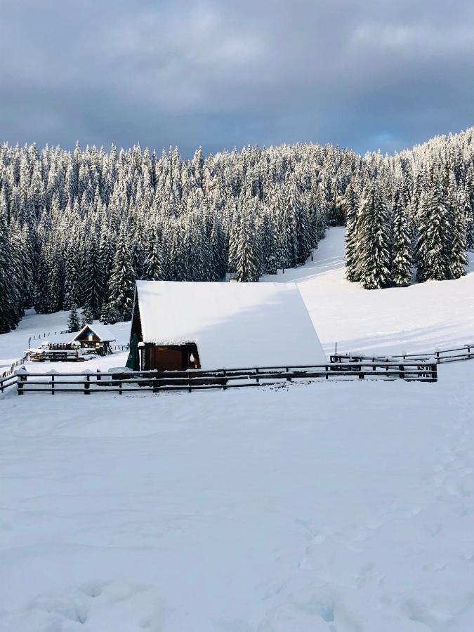 הוילה Zgornje Gorje Cosy Chalet On Pokljuka - Brunarica Tinkara מראה חיצוני תמונה