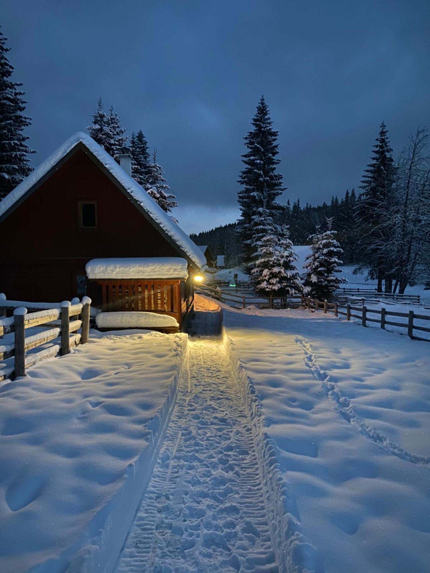 הוילה Zgornje Gorje Cosy Chalet On Pokljuka - Brunarica Tinkara מראה חיצוני תמונה