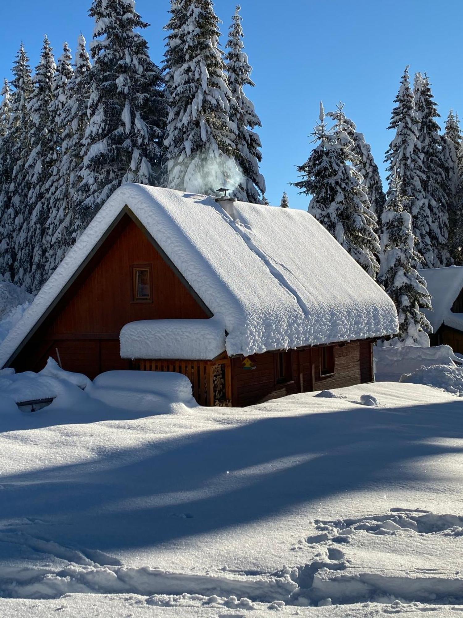 הוילה Zgornje Gorje Cosy Chalet On Pokljuka - Brunarica Tinkara מראה חיצוני תמונה