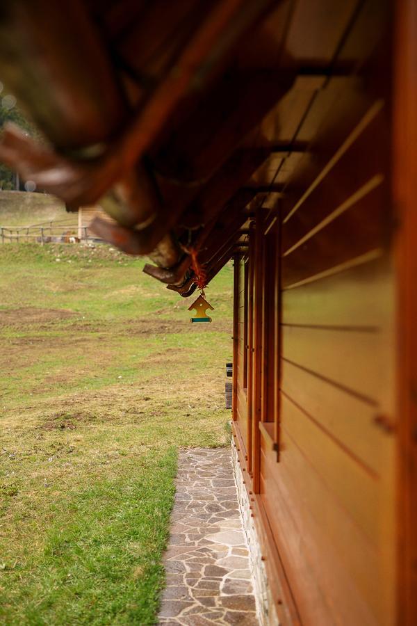 Zgornje Gorje Cosy Chalet On Pokljuka - Brunarica Tinkara מראה חיצוני תמונה